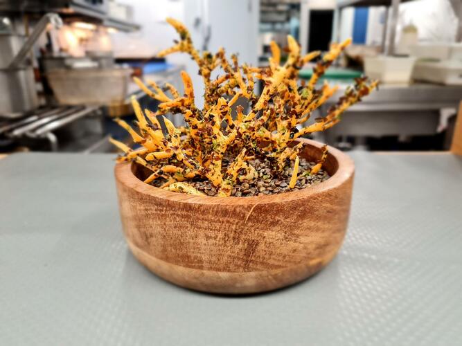 La cuisine inventive d'Olivier Beurné sans cesse renouvelée